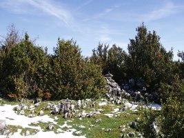 Bezea-Larraungo gailurra (1195m)