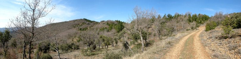 Ekialdeko bizkarreko bidetik ikusita