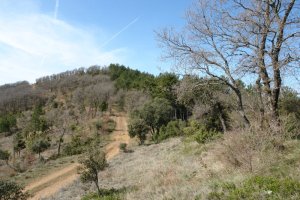 Azken metroak, ekialdetik