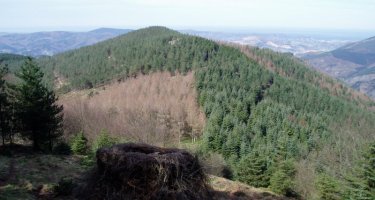 Arnabar Urdelar aldetik ikusita