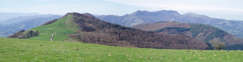 Belabietatik ikusita, ekialdetik