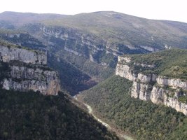 Arroila eta Arangoiti