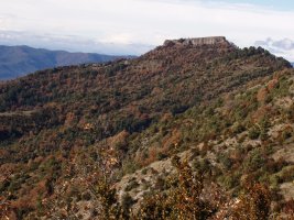 Kukula Algaraietatik