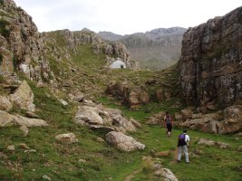 Forestales-en aterpe bitxia