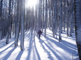 Corona-Erratzuko bidean