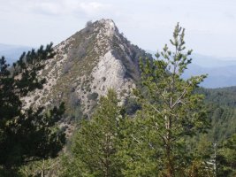 Dozola Matamatxoseko bidetik