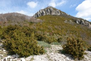 Tontorra, Hegoaldeko irtengune batetik