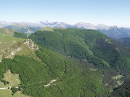 Larrondoa Otsogorrigainatik