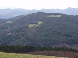 Migoleta, Txorrotxarriatik