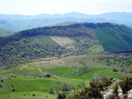 Sarastarri Uelogoenatik