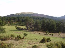 Txorrotxarria Lazako pistatik