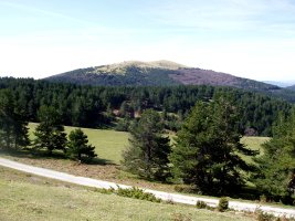 Txorrotxarria Lazako pistatik