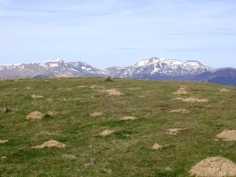 Gailurra; Atzean Otsogorrigaina, Txardeka eta Kartxela
