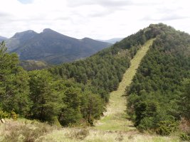 Arbasamendi eta Elke