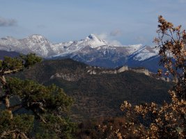 Pirinioak Argaraietatik