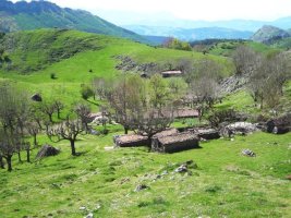 Uiduiko  saroia eta  txabolak