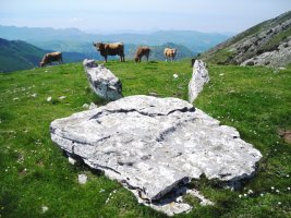 Zearragoenako trikuharria