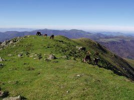 Gailurretik mendebalderantz