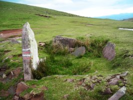 Meatseko lepoko trikuharria