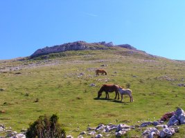 Mendebaldetik ikusita