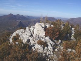 Urrizkaingo gailurra