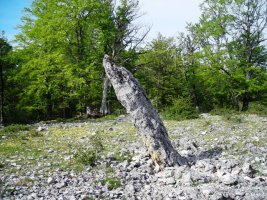 Mugako Arriya (Bretxagaina)ko zutarria