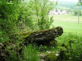 Pagamendiko trikuharria , Oderitzen