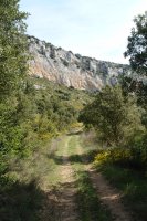 Ziritza aldeko bidea