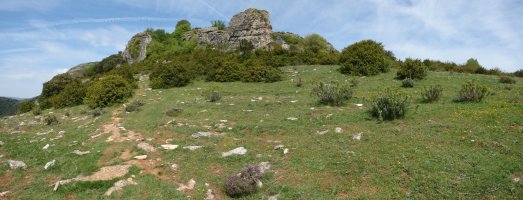 Ekialdeko bizkarreko pasarte bat
