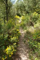 Errepide-arteko lasterbidea, artadian barrena, Ziritza aldetik