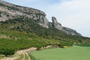 Hormatik berezitako haitz mutur ikusgarria