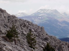 Higadurak harkaitzari emandako eite bitxiak