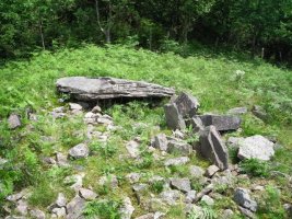 Igoingo Lepoa 1-eko trihuharria