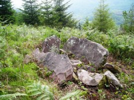 Landarbaso  1-eko trikuharria