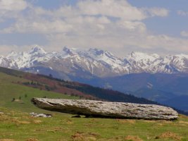 Harrizabalako trikuharria