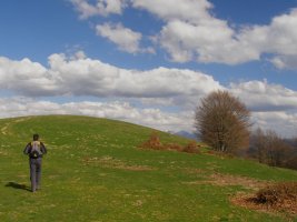 Gaztanbideako tontorra