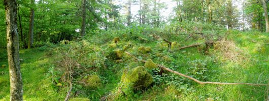 Agerreburu trikuharria