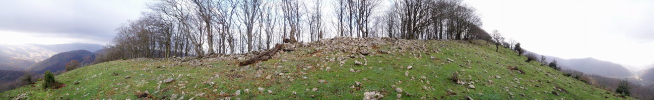 Mendebaldeko bizkarra