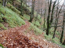 Lizarrusti eta Lareo arteko bidea