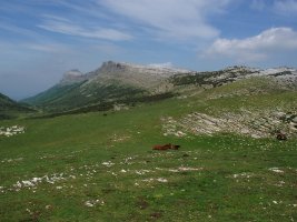 Lezitzagoa eta Beriain