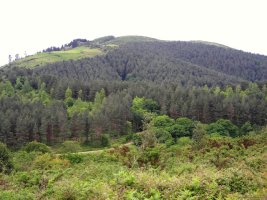 Manddale , Mokuatik ikusita