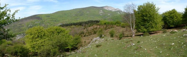 HMko isurialdeko paraje bat, atzean Gorbeia duela