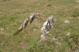 Trikuharria Meateko lepoan