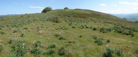 HMko bizkarreko ikuspegia