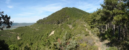 Ekialdeko bizkarretik ikusita