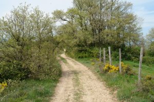 Bizkarreko bidea, erpin geodesikoaren inguruan