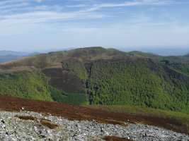 Txangoa, Ortzantzurietatik ikusita