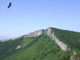 Larrogain Aintzioatik