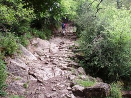 Aretako mendateko bide harriztatua