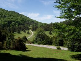 Aretako mendatearen inguruak